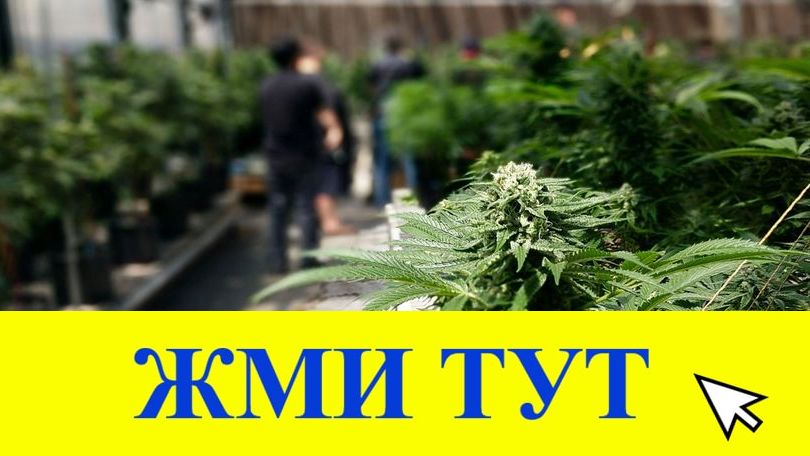 Купить наркотики в Струнино